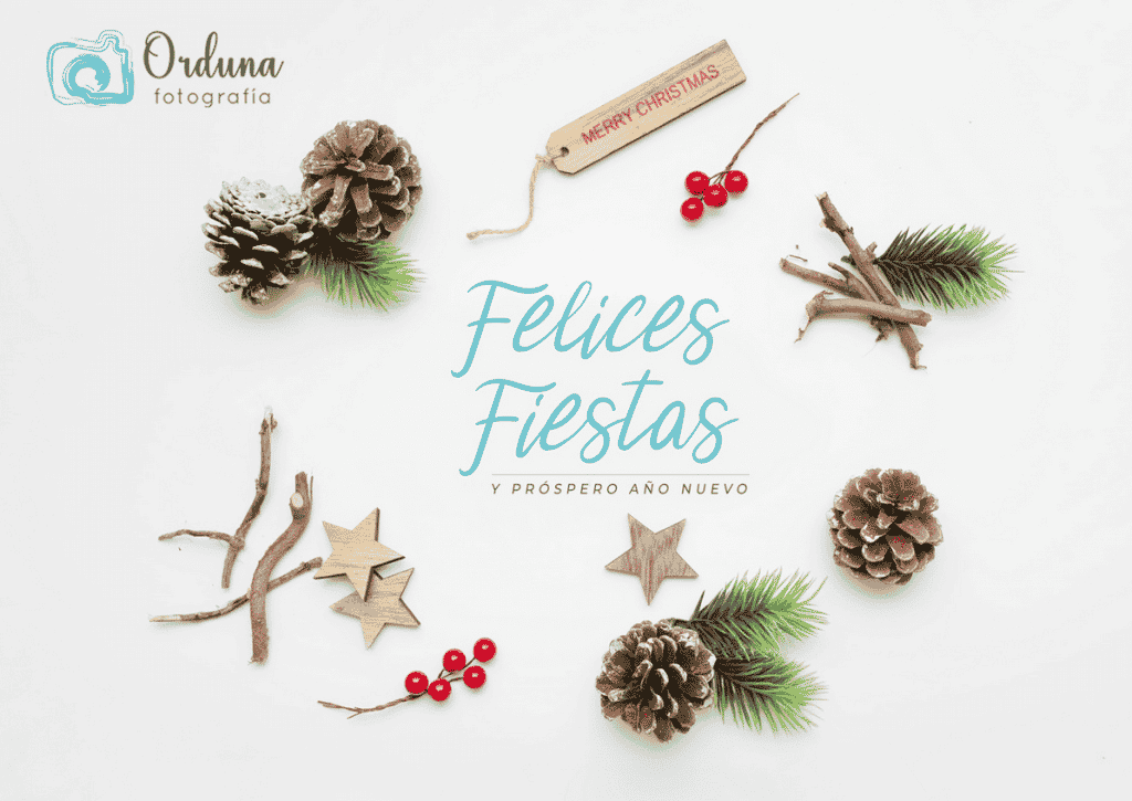 Felices fiestas